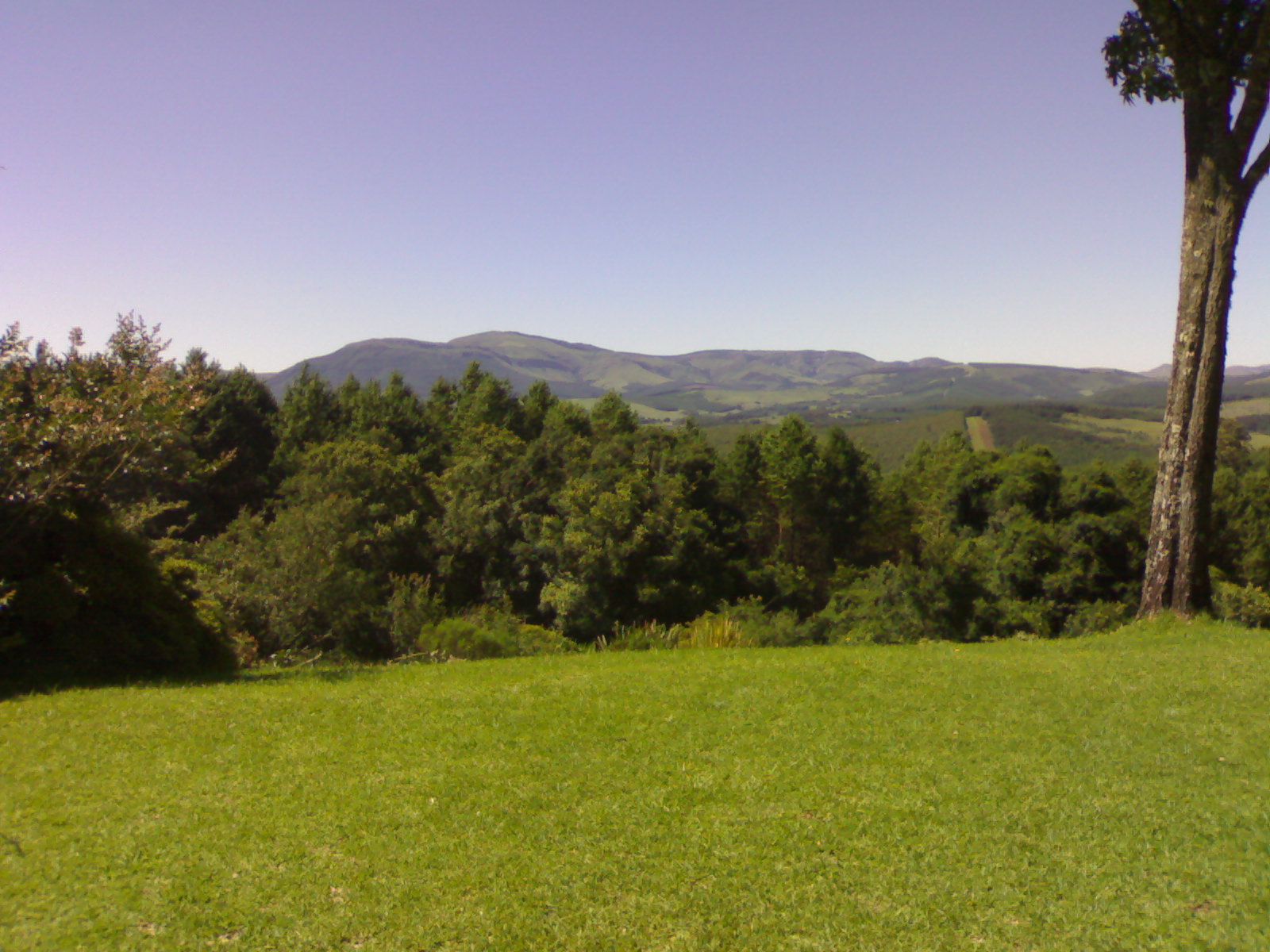 Verkijken Farm Front View